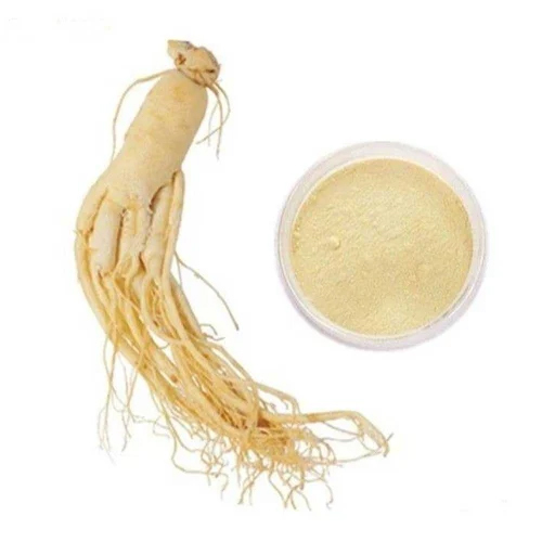 Ginseng Panax Extract - Shelf Life: 12-24 Months