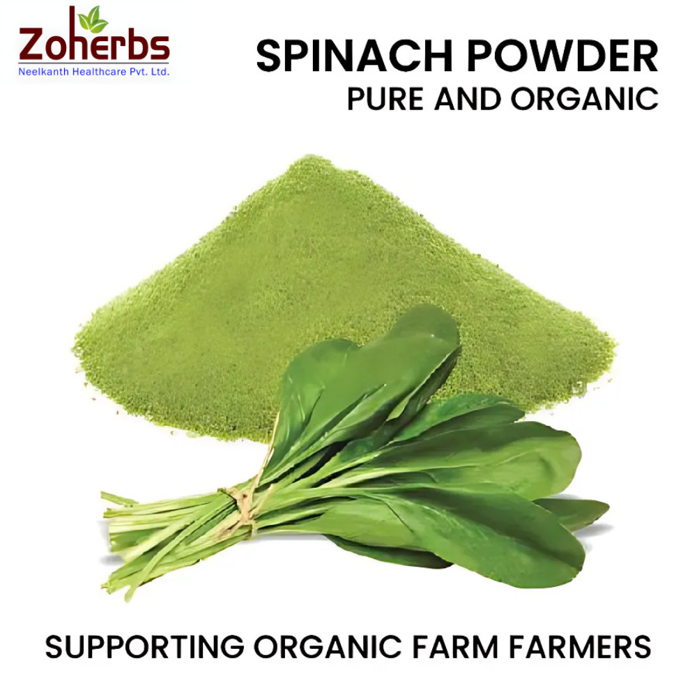 Spinach Powder - Cultivation Type: Organic
