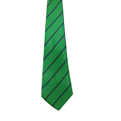 Par-rot Green Navy Single Stripe Polyester Fabric School Tie