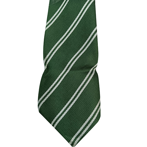 Green White DAV Pattern Polyester Fabric School Ties