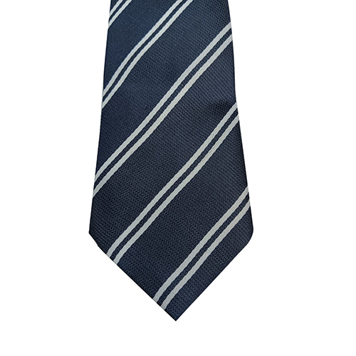 Navy White DAV Pattern Polyester Fabric School Ties