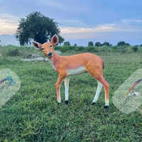 FRP Fiber Standing Baby deer Statue