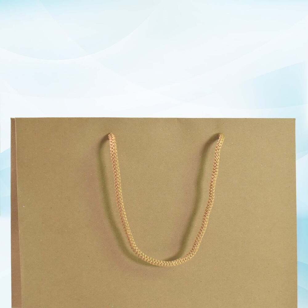 Compostable Plain Brown Paper Bags