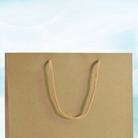 Compostable Plain Brown Paper Bags