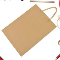 Compostable Plain Brown Paper Bags
