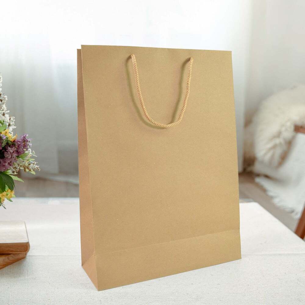 Compostable Plain Brown Paper Bags