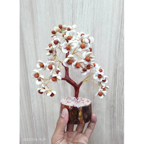 Gomti Chakra Rudraksha Tree 250 Beats - Color: White & Brown