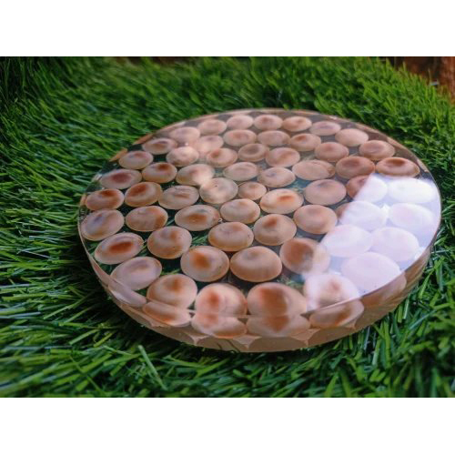 New Gomti Chakra Healing Orgonite Plate - Product Type: Artificial Stone