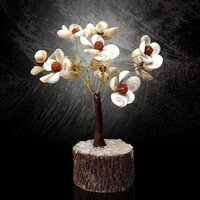 Gomati Chakra And Rudraksh 54 Bits - Color: Brown