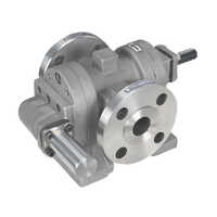 External Gear Pump - Cast Iron, 300 Lpm Flow Rate, 25 M Head Size, Silver, Self-priming/flooded Suction, Foot/flange Mounted, For Industrial Use