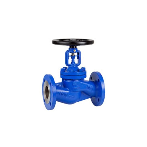 Ss Industrial Globe Valve - Color: Blue