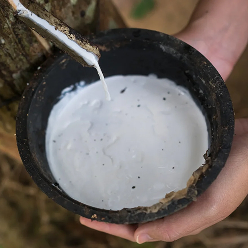 सतत प्राकृतिक लेटेक्स