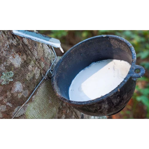 Liquid Natural Latex