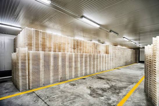 Sea Food Cold Storage Room