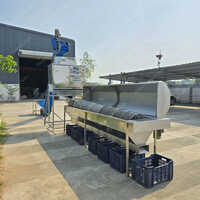 75 Kg-hr Cashew Nut Peeling Machine - Frequency: 50 Hertz (hz)