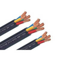 Polycab Flexible Copper Cable