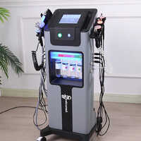 10 In 1 Premium Quality Hydra Facial Machine - Color: Gray