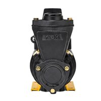 Monoblock Pump - Caliber: Standard