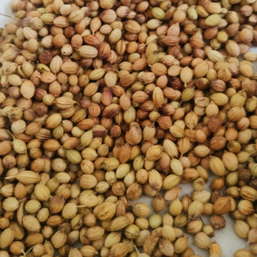 Coriander Seeds - Grade: Food Grade