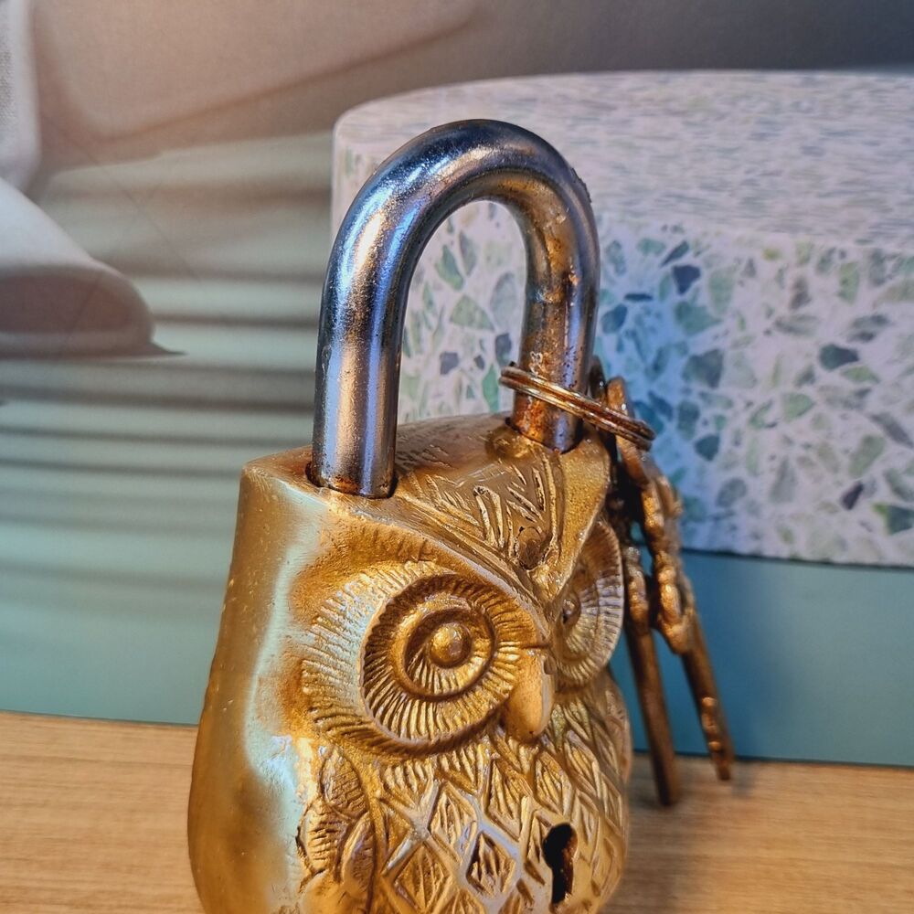 Owl Design Yellow Functional Brass Lock With 2 Keys