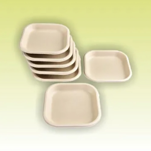 Bagasse Plates - Application: Industrial