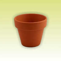 Clay Flower Pot - Finish: Glossy