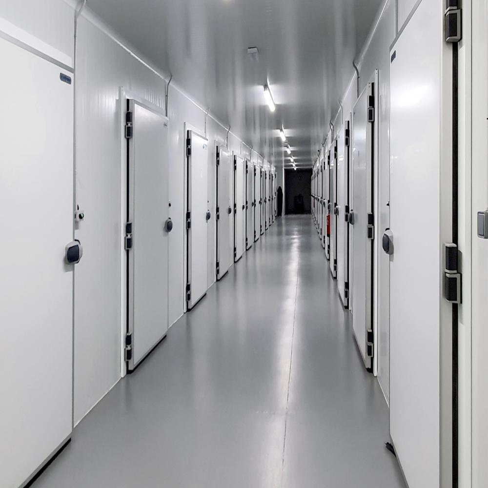 Cold Room - Durable Insulated Freezer Storage Unit | Ideal For Long-term Food Preservation, Advanced Refrigerant System