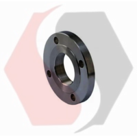 Forged Steel Flanges