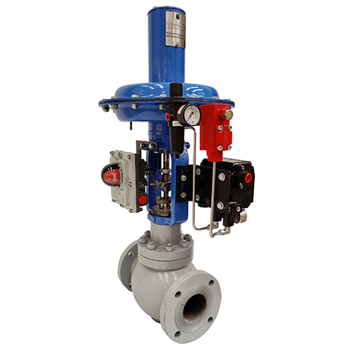 Globe 2 Way Control Valve - Color: Blue