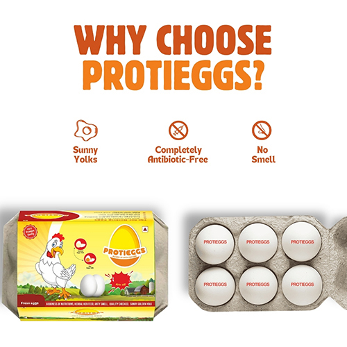 Poultry Farm Fresh Eggs - Egg Origin: Chicken