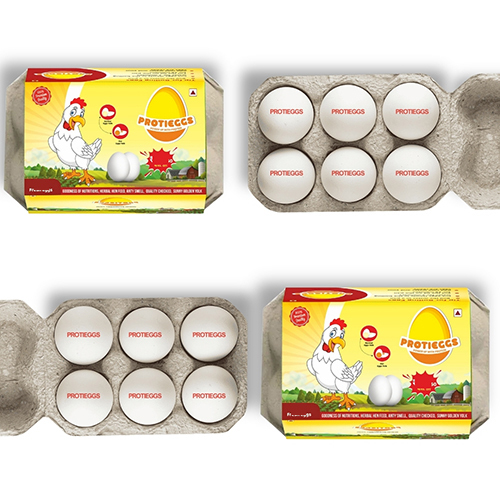 Poultry Fresh White Eggs - Egg Origin: Chicken