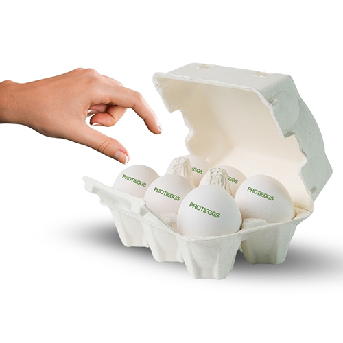 Poultry Fresh White Eggs - Egg Origin: Chicken
