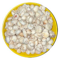 Raw Makhana Flake - Broken (%): 05