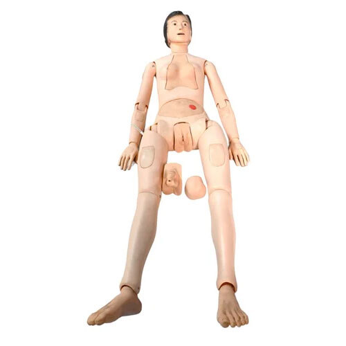 Medical Mannequin Female