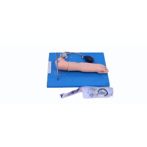 Human Anatomical Models - Automation Grade: Manual