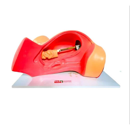 Model of Course Of Delivery - PVC Material, Portable Design , Manual Operation for Laboratory Use