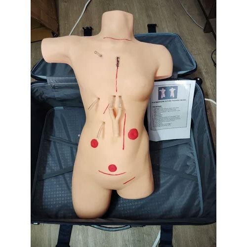 Bandage Simulator Model - Material: Pvc