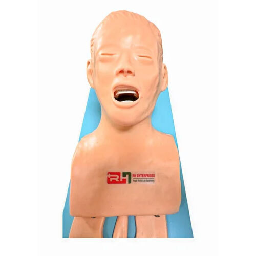 Trachea Intubation Model Without Monitor