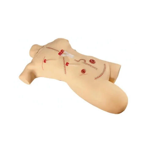 Surgical Suture Model