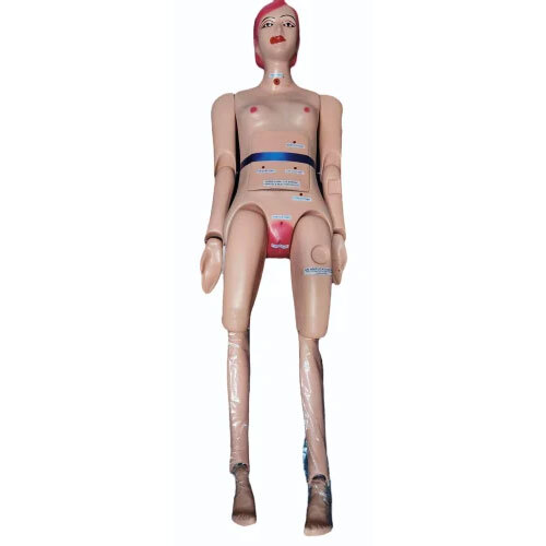 Adult Female Manikin Fiber