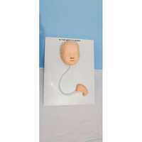Iud Training Model - Color: Skin