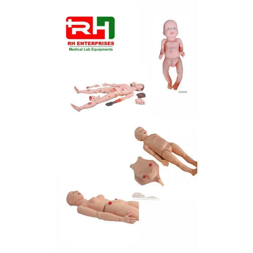 Nursing College Dummy Supplier