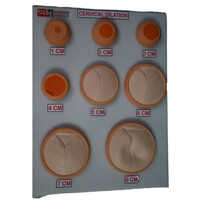 Gynecological Examination Model - Pvc Material, Portable Design, Skin Color | Ideal For Hospital Use, New Condition