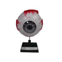 Eye With Different Sections Large Size Pvc Imp Superior - Application: Institution