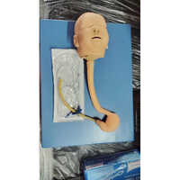 Ng Tube Trainer (adult) - Color: Skin