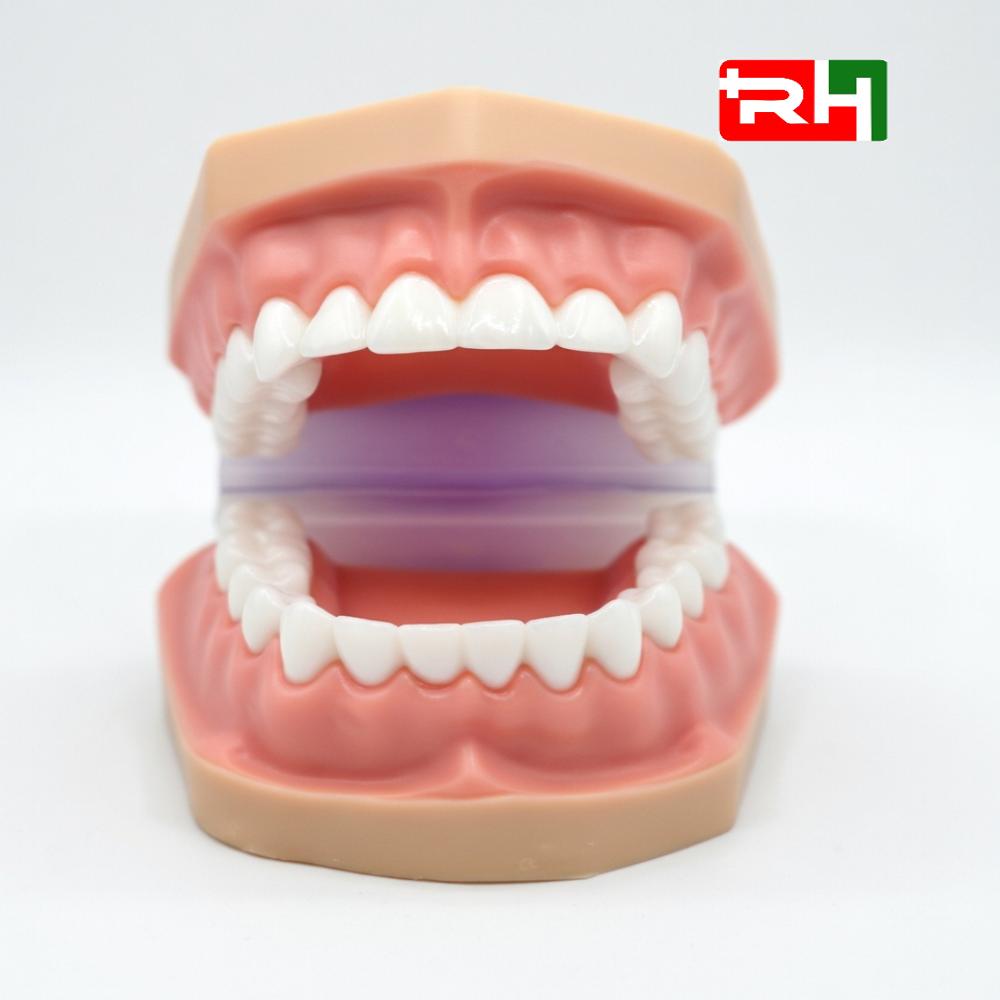 Pvc Teeth Model - Color: White