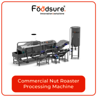 Nut roasting machine