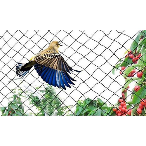 Anti Bird Safety Nets - Color: As Per Availability