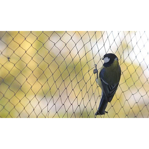 पक्षी सुरक्षा जाल