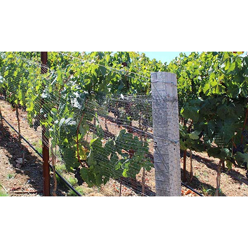 Agriculture Bird Protection Net